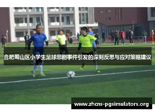 合肥蜀山区小学生足球悲剧事件引发的深刻反思与应对策略建议