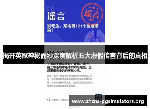 揭开英冠神秘面纱深度解析五大虚假传言背后的真相